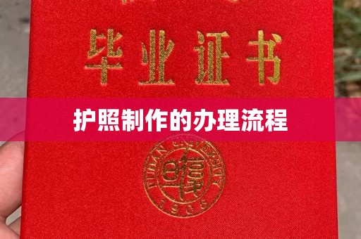 称多护照制作的办理流程