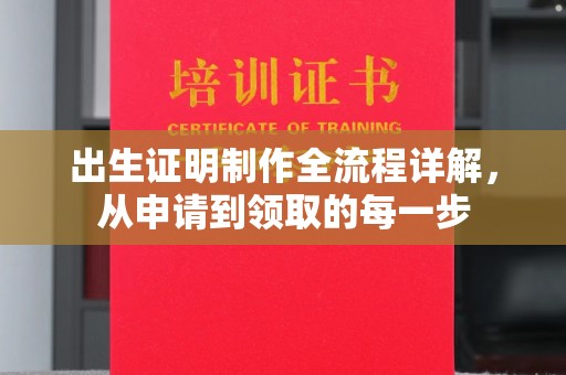 称多出生证明制作全流程详解，从申请到领取的每一步