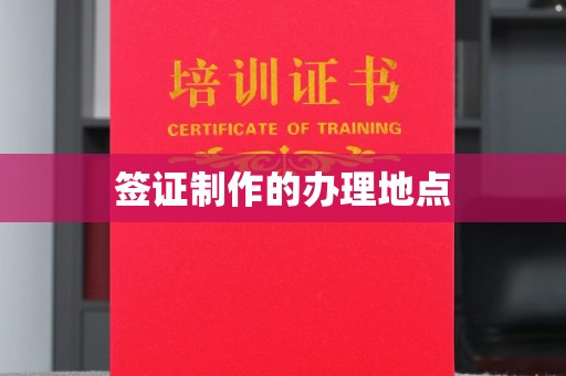 称多签证制作的办理地点