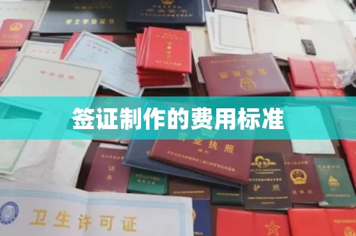 称多签证制作的费用标准