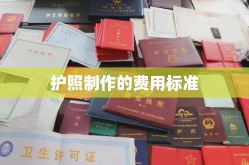 称多护照制作的费用标准