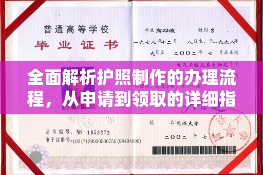称多全面解析护照制作的办理流程，从申请到领取的详细指南