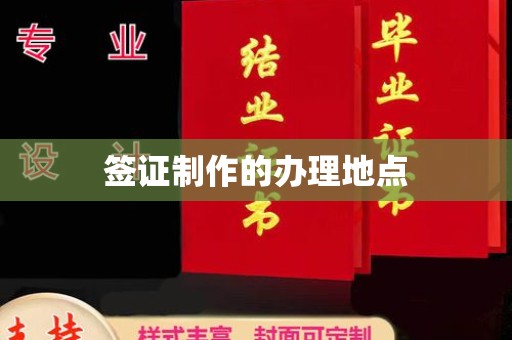 称多签证制作的办理地点