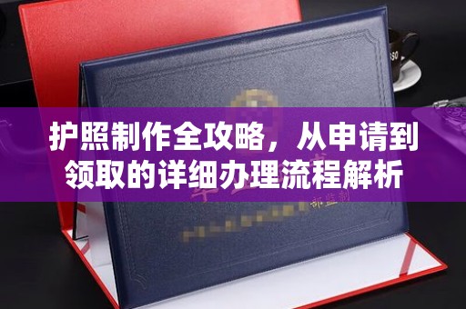称多护照制作全攻略，从申请到领取的详细办理流程解析