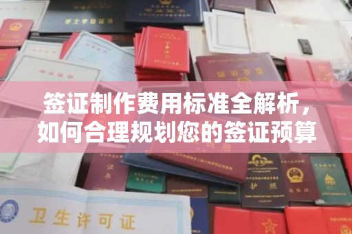 称多签证制作费用标准全解析，如何合理规划您的签证预算？